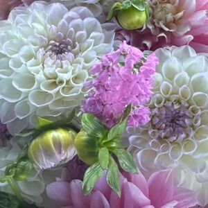 Meet your Posher, Brooke